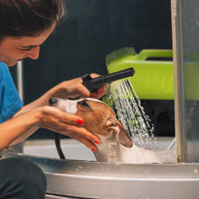 Load image into Gallery viewer, Sun Joe 24V iON+ Cordless Go-Anywhere Portable Sink/Shower Spray Washer Kit | 5 Gal | w/ 2.0Ah Battery + Charger
