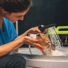 Load image into Gallery viewer, Sun Joe 24V iON+ Cordless Go-Anywhere Portable Sink/Shower Spray Washer Kit | 2.5 Gal | w/ 2.0Ah Battery + Charger

